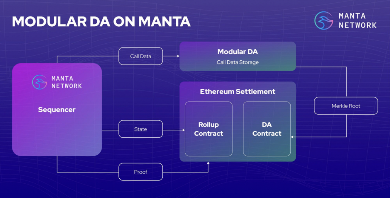 一文详解 Manta Network 代币经济模型