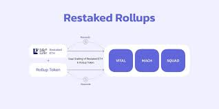 研报 |  详解 AltLayer：模块化 + Restaking 叙事的 Rollup 服务协议