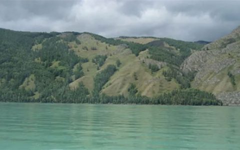 谁有权铸造NFT艺术品？