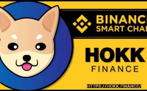 现在可以在BSC链上购买$HOKK了！