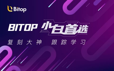 Bitop全新起航：一键跟单，让你轻松躺赢