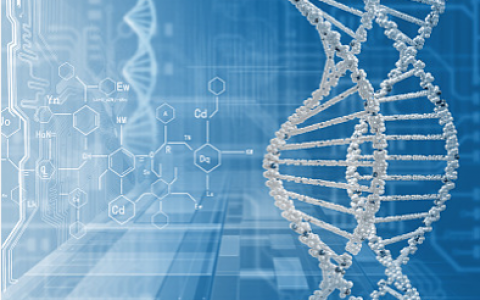 SINSO 构建医疗元宇宙