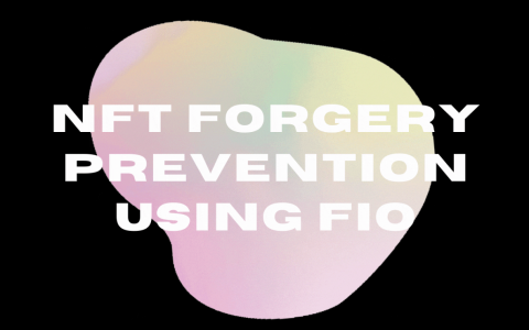 如何使用 FIO防止NFT 伪造