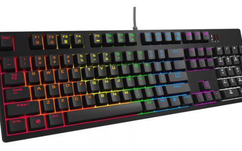 区块链行业的幸存者