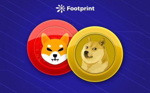 SHIB市值跃进前十，Meme币会再次崛起吗