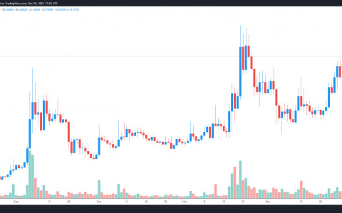 随着 Oasis Network 生态系统的扩展，ROSE 在一周内上涨了 54%