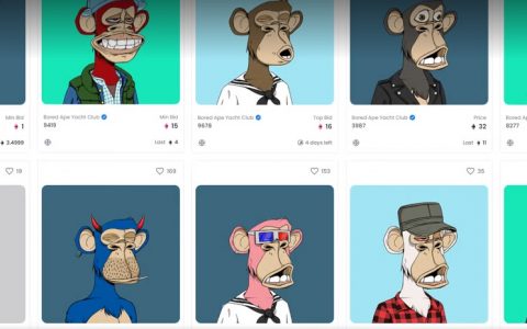Bored Ape Yacht Club ——是市场上最受欢迎的 NFT 系列之一