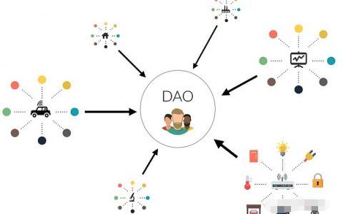 2022 DAO 该如何出发？