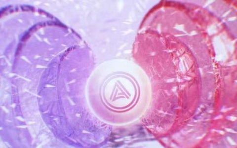 一文解读波卡生态的第三个热门平行链——Acala