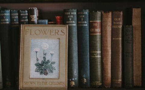 女性逐渐成为Web 3世界的重要支柱