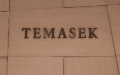 淡马锡：48年新加坡最强国企深入布局Web 3