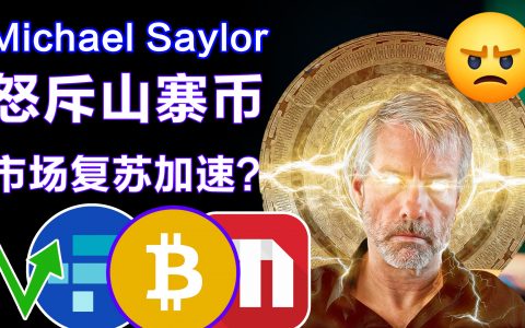 0622迈克尔·塞勒怒斥山寨币