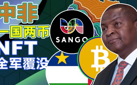 中非共和国实施“一国两币”
