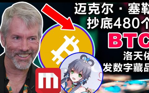 迈克尔·塞勒抄底480枚比特币