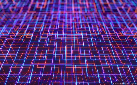 概览 Chainalysis 最新 Web3 报告：NFT 成新人入场门户，DeFi 主导 DAO