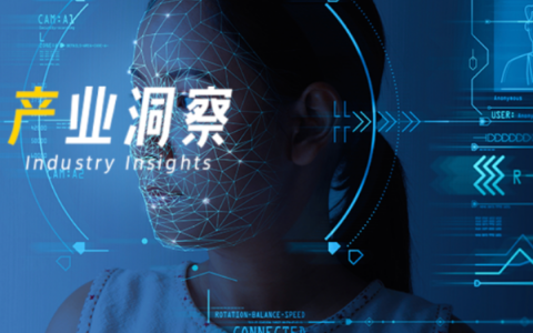 2022年中国数字人行业洞察报告