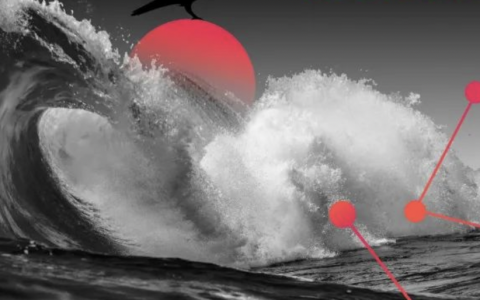 Alliance DAO给创始人的建议：不要一开始就做 DAO，产品比经济模型更重要