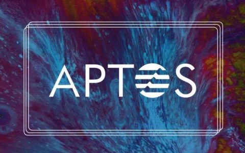 Aptos：能否成为高性能公链的「标准范式」？
