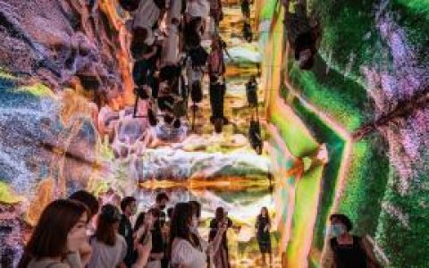 PFP 现状与未来：打造基于文化属性的新叙事