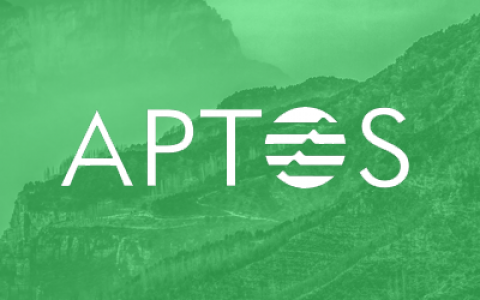 Aptos 和 Solana 的权衡对比：Aptos 是资本推动的下一个 Solana 吗？