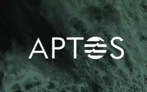 从可组合性探究： Aptos 或许「生不逢时」？