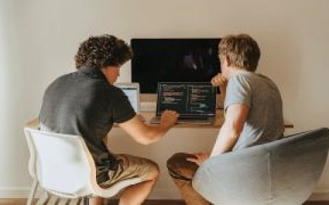 吸血、迁移与资本局，Move 公链大火背后