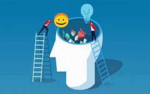 加密项目如何正确分配代币？