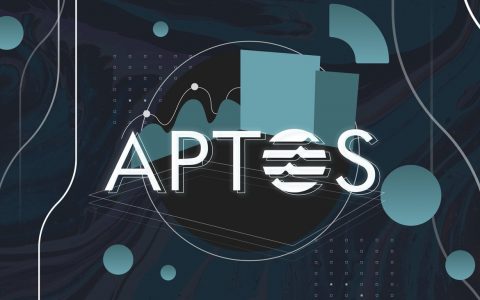 Aptos 理性分析：Move 是亮点，但仍缺乏创新