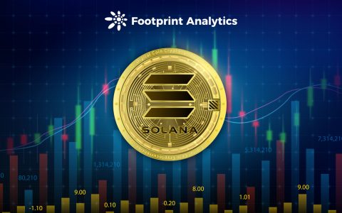 9 大指标分析 Solana 的熊市危机