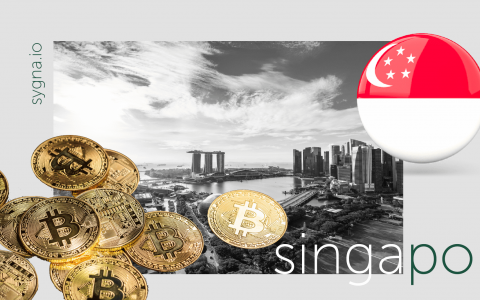 监管观察：新加坡的「加密立法」 ，该放慢脚步了