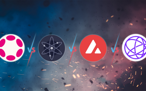 与 L2 一样重要的应用链，谁能成为领跑者？