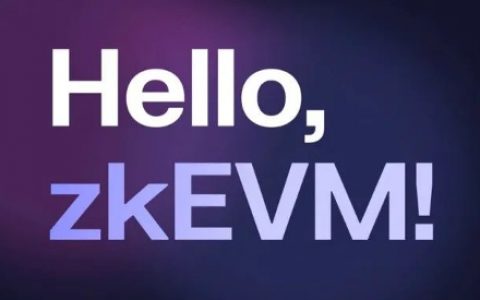 比较以太坊ZK系6 个Layer2项目：探索 zkEVM 的技术差异