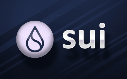 主网上线一周，Sui 生态进展如何？