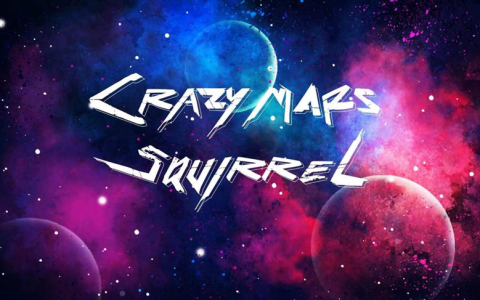 企业家眼中的疯狂火星鼠