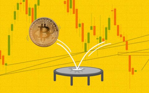 快速反弹 = 给交易者送钱？一文解析 4 个表现最好的波动性代币