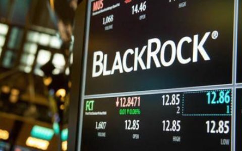 除了贝莱德，其他金融巨头有哪些布局？