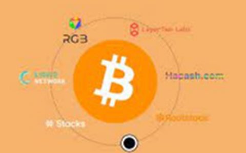 解锁比特币生态：必读指南