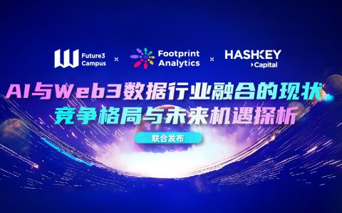 AI 与 Web3 数据行业融合的现状、竞争格局与未来机遇探析（下）