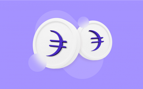 Dusk Network：兼顾合规与隐私的RWA公链