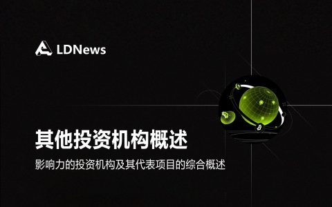 第11节  其他投资机构概述及其代表项目
