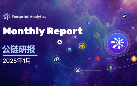 2025 年 1 月公链行业研报：比特币主导地位强化