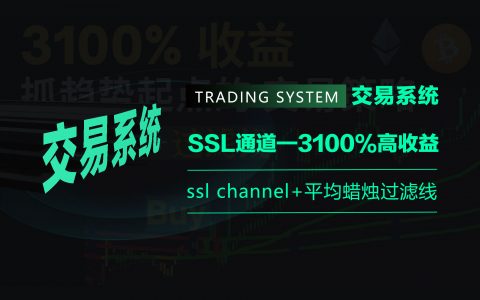 第9集｜SSL通道—3100%高收益