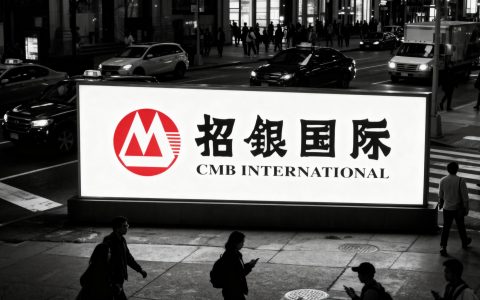 招银国际的风险棋局与行业未来：挑战、分化与转变