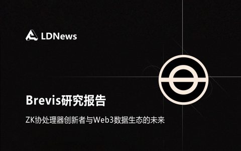 研报｜Brevis研究报告——ZK协处理器创新者与Web3数据生态的未来