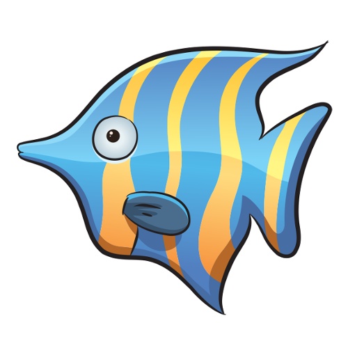 bluf的头像